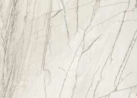 forte white porcelain swatch color