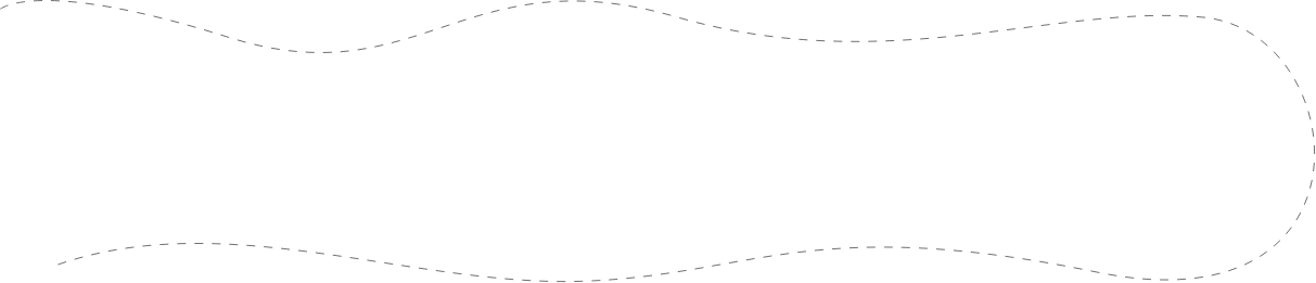 dashed lines